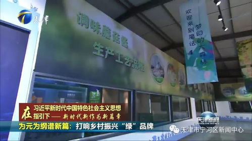 为元为纲谱新篇 打响乡村振兴 绿 品牌