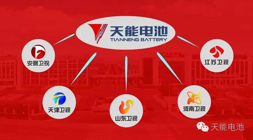喜报 天能用真实数据斩获广告界 奥斯卡奖