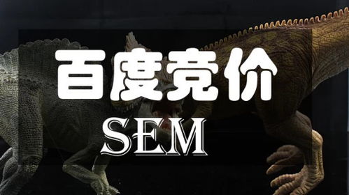 sem实战案例 竞价推广该怎么做的