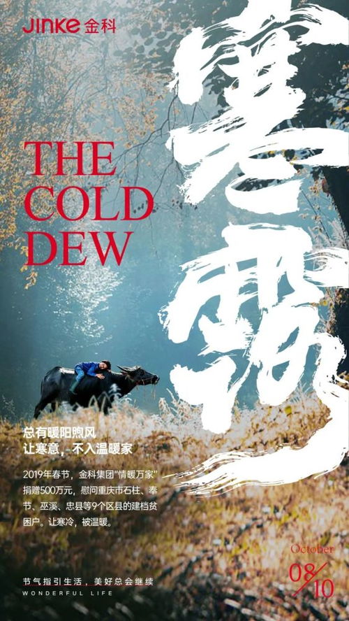 全公开 那些刷爆2020年朋友圈的海报