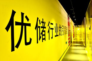 喜欢收藏,但家里空间太小,怎么办