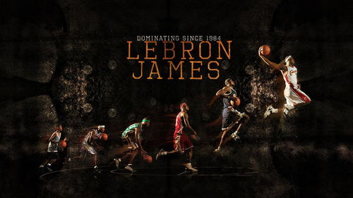 nba篮球球星詹姆斯